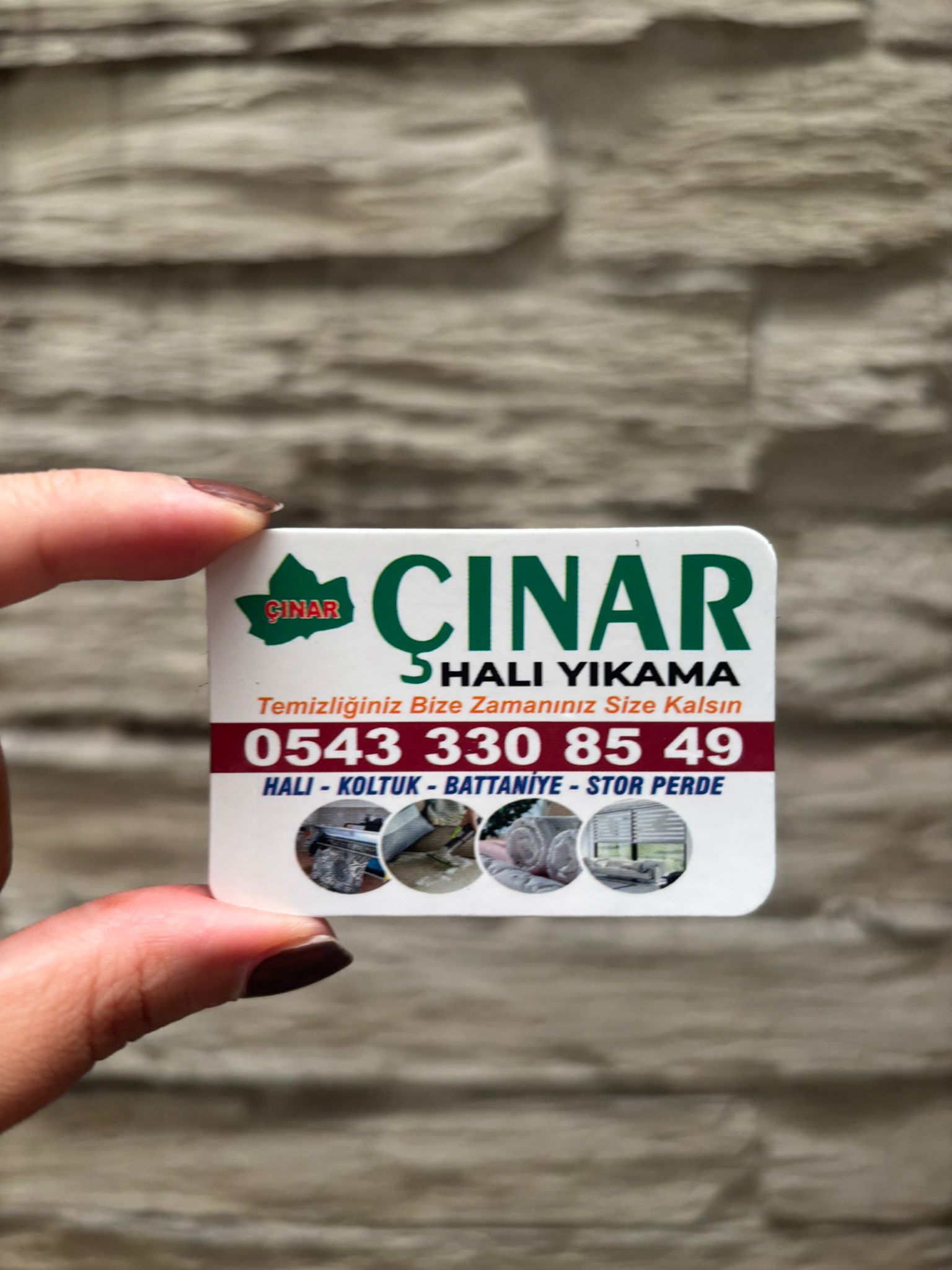Proje Resmi 4